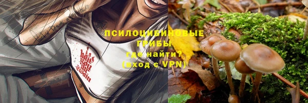 дживик Балабаново