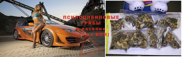дмт Костерёво